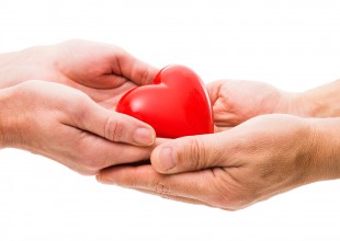 Donación de Organos