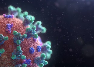 fusion-medical-animation-EAgGqOiDDMg-unsplash