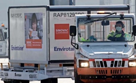 sinovac4