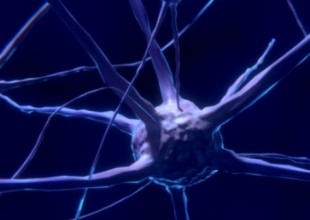 epilepsia