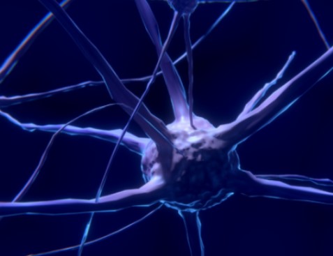 epilepsia