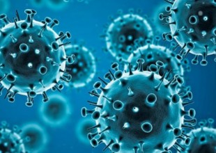 influenza2