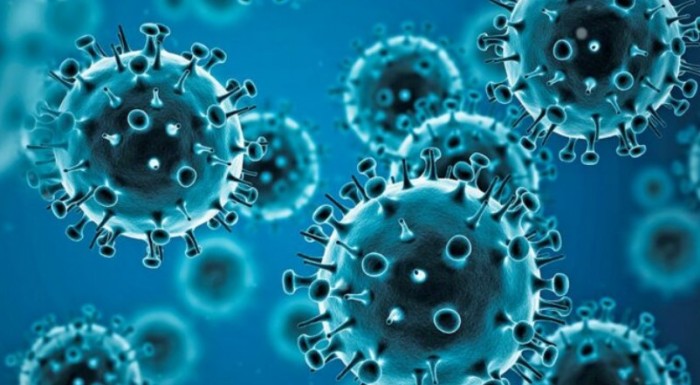 influenza2