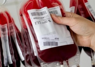 sangre_sangre