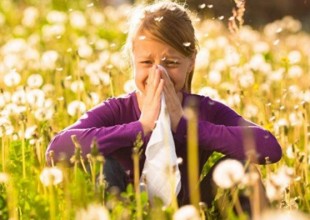 primavera